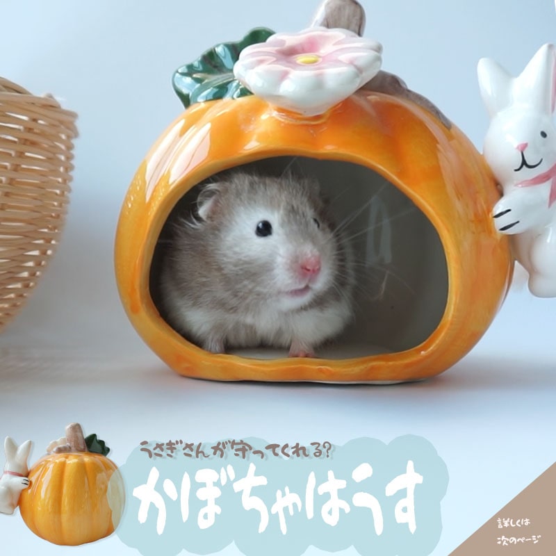 かぼちゃハウス ハムスター うさぎさん 陶器製 ハムスター 小動物 ゴールデンハムスター ひんやり かわ..