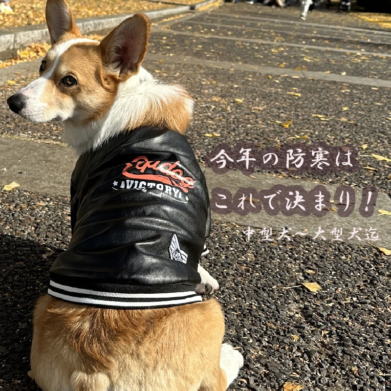 【すぐ届く】 コーギー 服 犬 冬 防