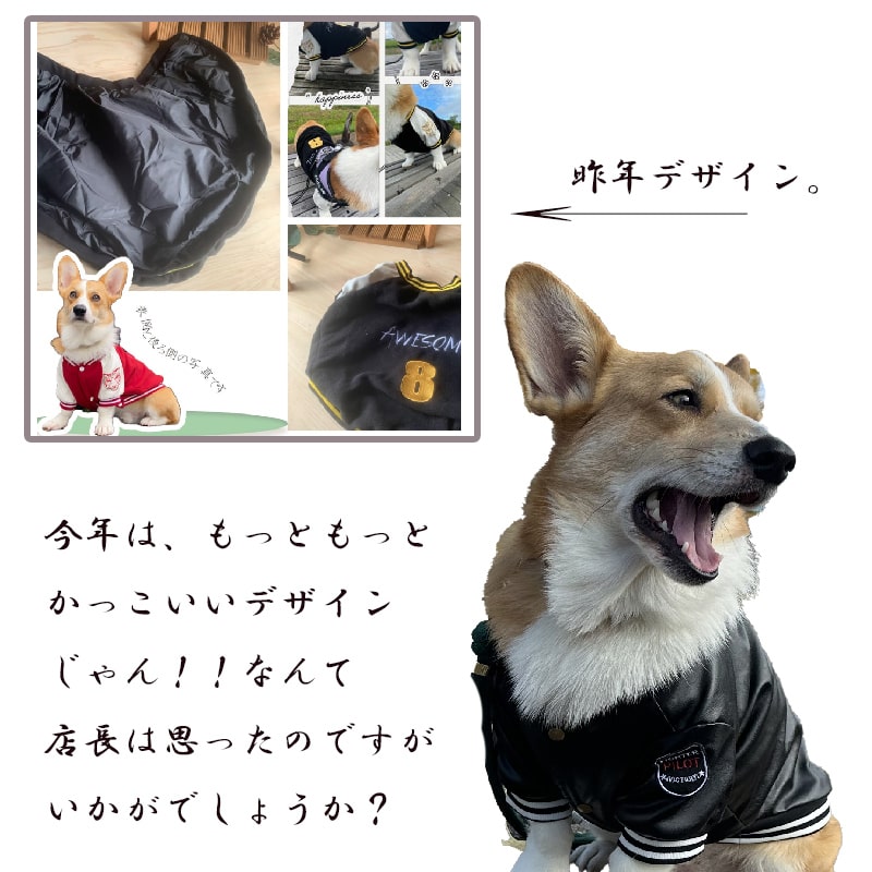 【すぐ届く】 コーギー 服 犬 冬 防寒 犬服 ドックウェア ウエア ジャケット スタジャン　かっこいい 男の子 刺繡 ジャンパー 犬の服 秋冬 抜け毛防止 暖かい スタジアム ジャンパー 小型犬 中型犬 フレンチブルドック 柴犬【レターパックプラス】 3