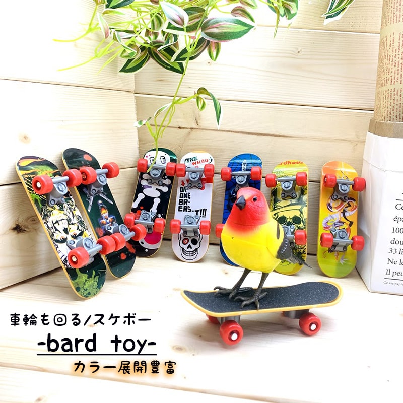 (送料無料) ) 鳥 玩具 スケボー バード トイ インコ玩具 鳥のおもちゃ 小型 咀嚼玩具 知育 玩具 訓練玩具 ストレス解消 おもちゃ しつけ 一発芸 トレーニング 運動不足解消 輪投げ 鳥 とり トリ 鳥用品 オウム 小鳥のサムネイル