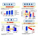 ケスモンマスク 50枚入 東亜合成 2