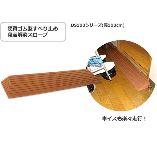 ダイヤスロープ 100cm幅 DS100-55 シンエイテクノ