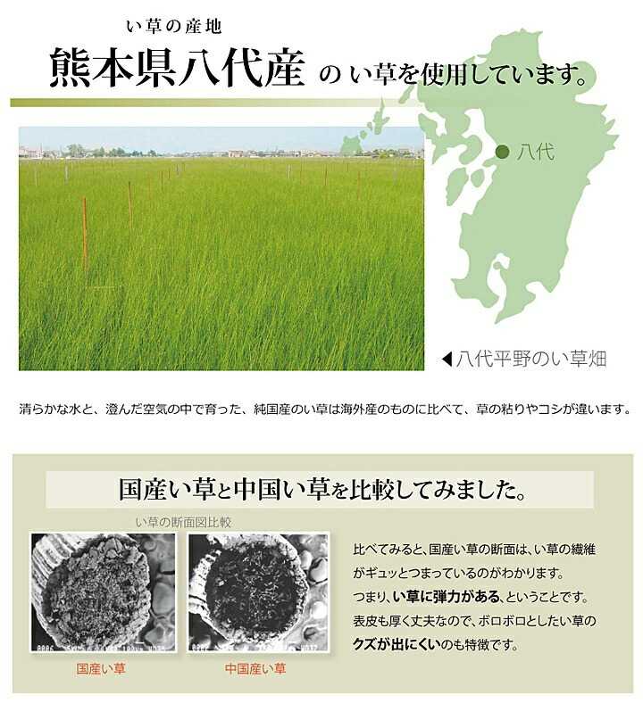 純国産 い草 上敷き カーペット 市松織 不知火 江戸間10畳 約440×352cm 熊本県八代産イ草使用 イケヒコ [3]