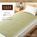 介護 サポート ヘルスケア 洗える 敷きパッド い草シーツ ムレにくい 通気性抜群 約88×180cm シングル イケヒコ(3)
