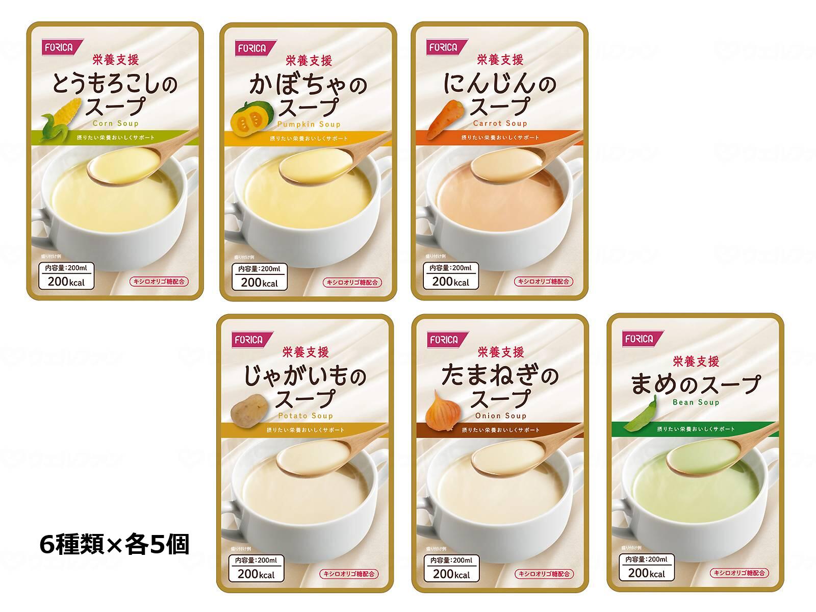 栄養支援 スープ 詰合せ 6種類 × 各5個入 ホリカフーズ