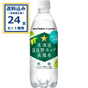 ポッカサッポロ 北海道富良野ホップ炭酸水 500ml×24本×1ケース (24本)【送料無料※一部地域は除く】 ほろにが炭酸 無糖 フラノビューティー ポップエキス 炭酸飲料 まとめ買い