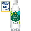 ポッカサッポロ 北海道富良野ホップ炭酸水 500ml×24本×2ケース (48本)【送料無料※一部地域は除く】 ほろにが炭酸 無糖 フラノビューティー ポップエキス 炭酸飲料 まとめ買い