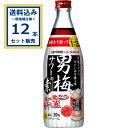 サッポロ 男梅サワーの素 瓶 500ml×12本(送料無料、一部地域は除く) 家飲み 宅飲み 宴会 宅呑み リキュール ソーダ割り 梅酒 チューハイ 業務用