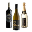 赤・白・スパークリングワイン3本セット(イタリア・ニュージーランド・ドイツ) 750ml×3本【送料無料※一部地域は除く】ワイン まとめ買い