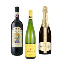 赤・白・スパークリングワイン3本セット(イタリア・フランス・オーストラリア) 750ml×3本【送料無料※一部地域は除く】ワイン まとめ買い