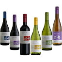 コノスル ぶどう品種別飲み比べ6本セット750ml×6本 【送料無料※一部地域は除く】ワイン まとめ買い