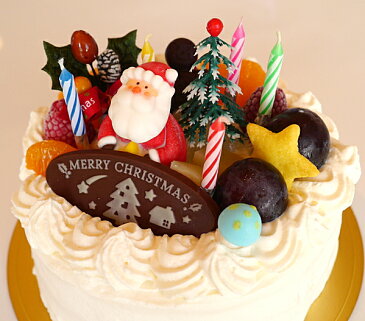 冷凍クリスマスケーキ7号