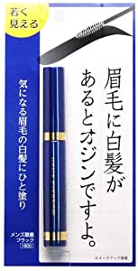 ビナ薬粧 メンズ眉墨 2個セット