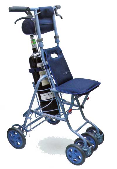 サニー酸素ボンベカー シルバーカー 【代引き不可】