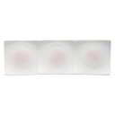 ピンク吹三品浅口プレート 小 和食器 仕切皿(2品皿・3品皿) 業務用 約28.9cm 和食 和風 焼肉店 たれ ニンニク 岩塩 お通し 漬物 前菜 小料理屋 懐石料理 プレート