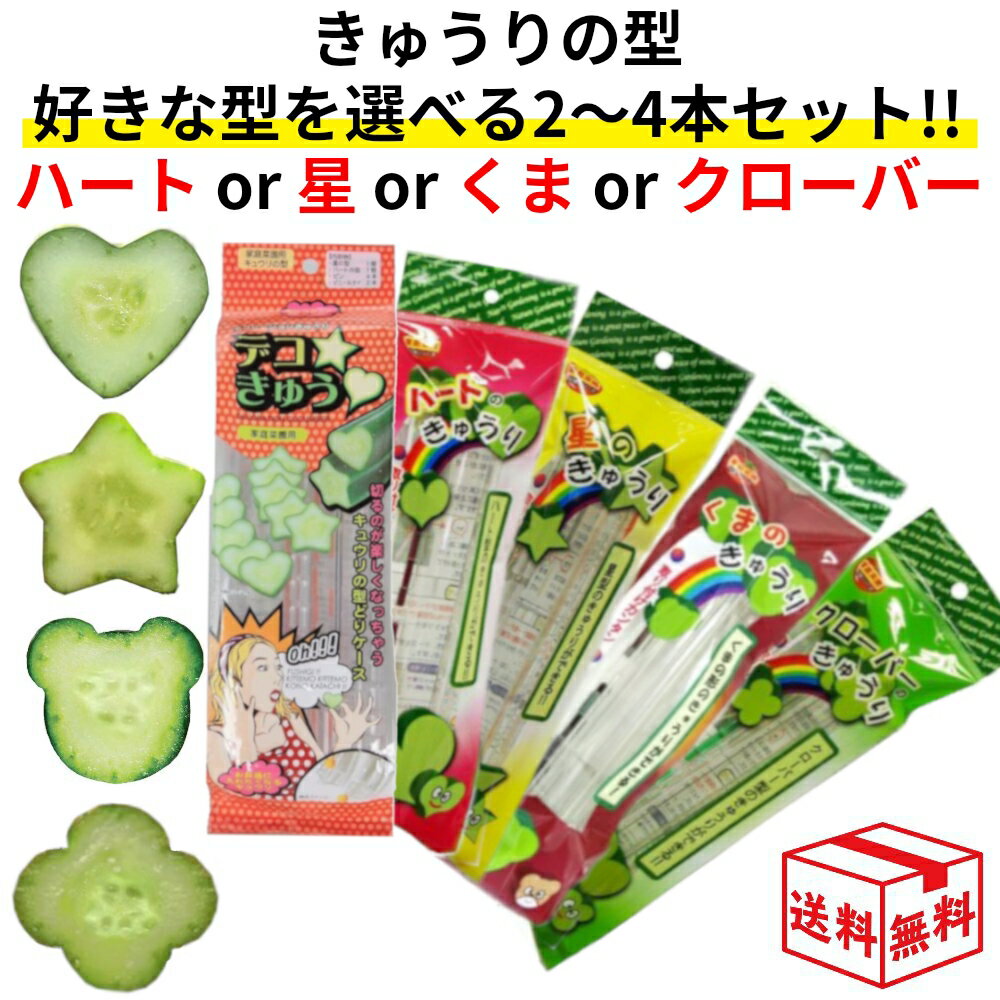【クーポン利用で105円~OFF 9日9:59まで】きゅうりの型 選べる2-4本セット デコレーションきゅうり デコきゅう デコきゅうり フォレスト ハート型 星型 スター くま 熊 クマ クローバー 家庭菜園 卵焼き 玉子焼き デコ弁 キャラ弁 型 食育 自由研究 七夕 カネコ 宅