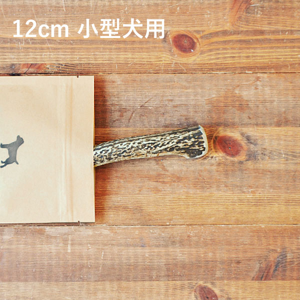 ＼1000本限定10％OFF／【 12cm 小型犬用