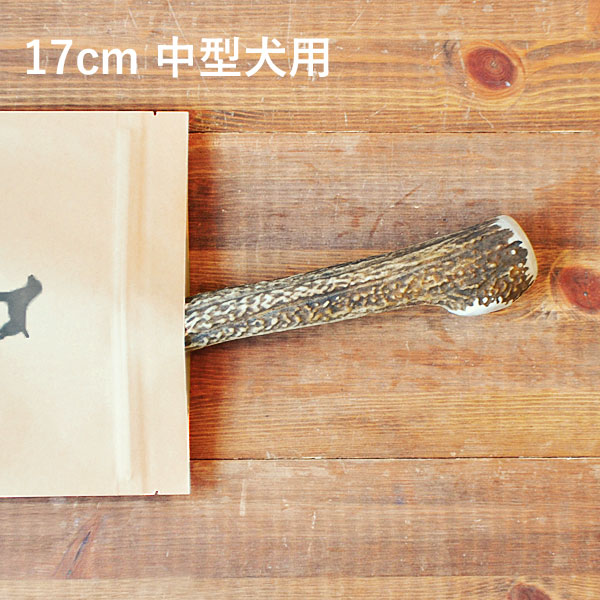 ＼1000本限定10％OFF／【 17cm 中型犬用