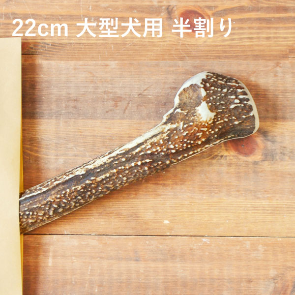  22cm 緿 ۡȾۥγ   ̵ź  ̳ƻ ڥåȡڥåȥå ɥåա  ʥܡ˷...