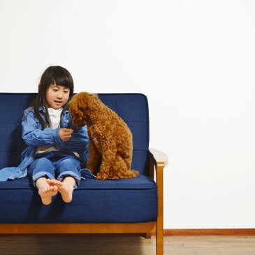 選べる。【エゾ鹿の角ガムとトリーツ2種類のセット】【小型犬用】 犬 おやつ 無添加 国産 鹿の角 鹿肉ジャーキー ペット・ペットグッズ ドッグフード おやつ 骨（ボーン）ジャーキー 長持ち 角ガム