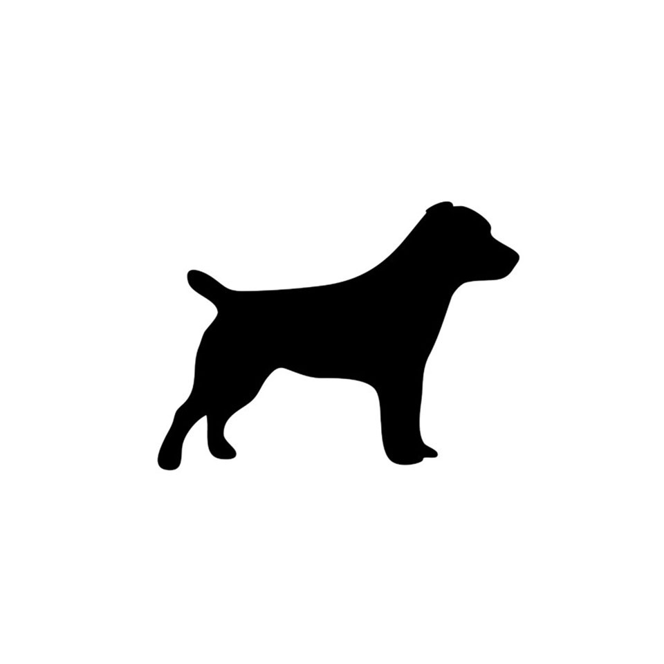 Shop icon