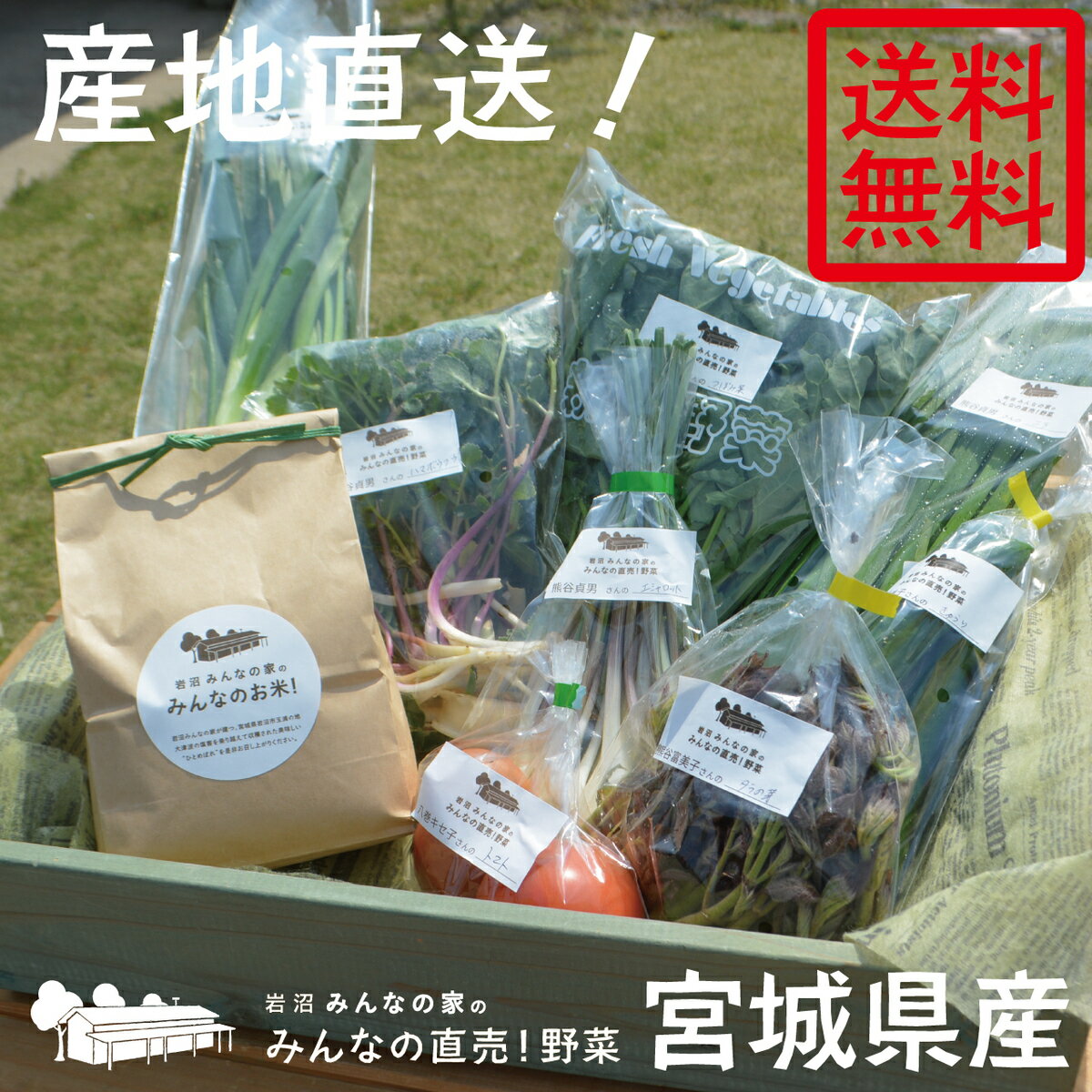 【送料無料】岩沼みんなの家のお米・野菜詰め合わせセット★お米1kg・直売野菜7〜8種