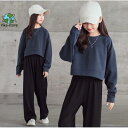子供服 セットアップ キッズ 女の子 長袖 秋 上下セット Tシャツ ロングパンツ 子供ジャージ ジュニア スポーツウェア 運動着 おしゃれ 可愛い カジュアル