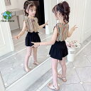 【スーパーセール限定】子供服 セットアップ キッズ 女の子 夏服 トップス Tシャツ ストライプ ハーフパンツ 半ズボン 短パン 韓国子ども服 ジュニア おしゃ...