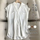 Tシャツ 半袖 レディース トップス 綿 シャツ ブラウス 春 夏 シンプル プルオーバー 半袖tシャツ シンプル ゆったり 通勤 フレンチ カジュアル オフィス(4)