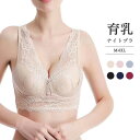 ナイトブラ 育乳 育乳ブラ 小胸 下着 インナー スポーツブラ バストアップ ブラジャー フロントホック 夜ブラ 夜用ブラ バストアップ 補正 補正ブラ 補正下...