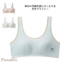スポーツブラ ジュニアブラ 女の子 キッズ ブラジャー ノンワイヤー 中学生 小学生 インナー パッド付き ジュニア かわいい ファースト