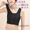 ブラ ブラジャー 胸つぶし インナー ファスナー ナベシャツ 夏 メッシュ 胸潰し 胸を小さく見せる スポーツブラ ショート丈