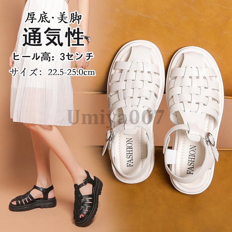   ݡĥ 쥵 奢 ץ ޡ塼 ǥ  ե ӡ