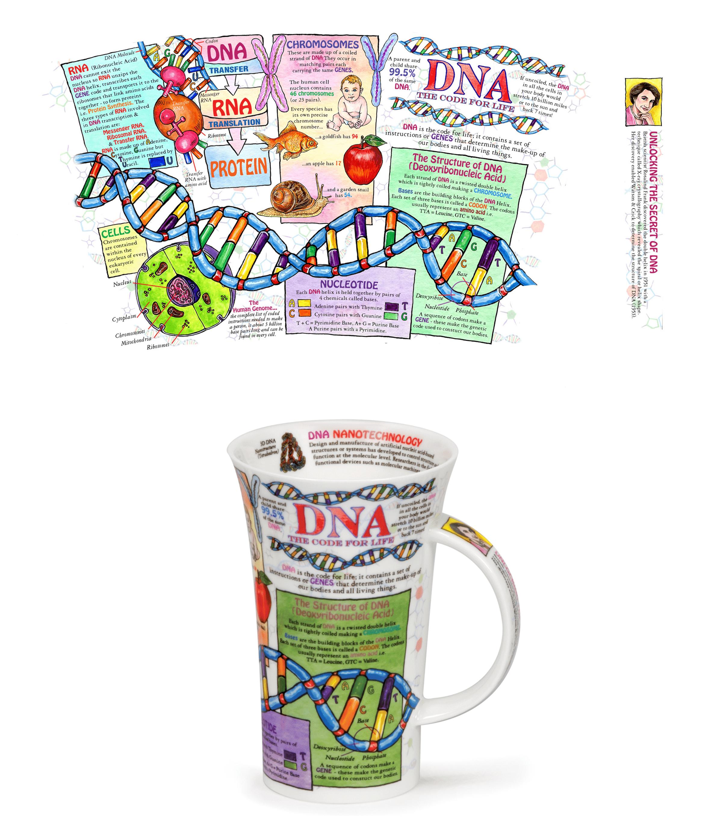 ޥ饽6/22-6/27ݥ5ܡ̡󡡥ޥʥӥޥGlencoe DNA 500mlDUNOON