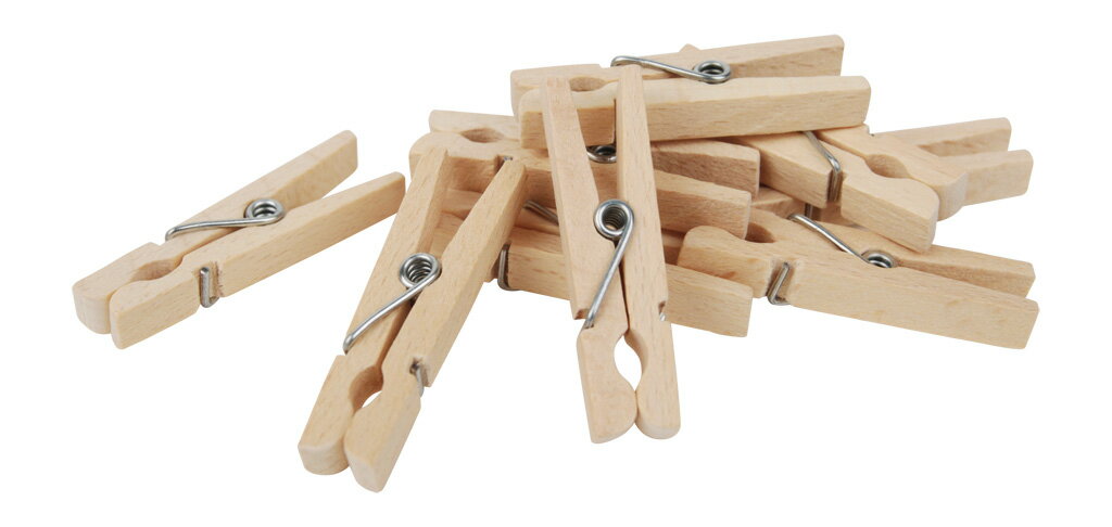 楽天大感謝祭☆レデッカー　753845　洗濯バサミ小　4.5cm　100個セット　REDECKER