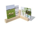 サイドバイサイド 40124 Postcardholder Tri L 21 x D 15 x H 9 cm SIDEBYSIDE