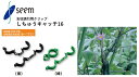 しちゅうキャッチ16 シーム S16B-300/S16G-300 支柱誘引用クリップ 誘引資材 農業資材
