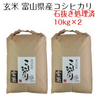 米 お米 【 玄米 】 富山県産 コシヒカリ 20kg（10kg×2） 令和5年産　石抜き処理済み 送料無料（沖縄は除く）