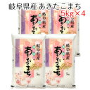 新米 令和元年産 岐阜県産 あきたこまち 20kg(5kg×4)　お米白米 【精米】送料無料（北海道・沖縄は除く）