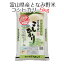 米 お米 白米 5kg 富山県産 となみ野米 コシヒカリ 令和5年産 送料無料（北海道・沖縄は除く）