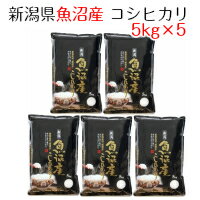 米 お米 白米 新潟県魚沼産 コシヒカリ 25kg（5kg×5）令和5年産　送料無料（北海道・沖縄は除く）