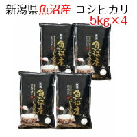 米 お米 白米 新潟県魚沼産 コシヒカリ 20kg（5kg×4） 令和5年産　送料無料（北海道への配送不可・沖縄別料金）