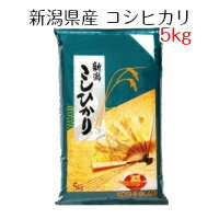 米 お米 白米 新潟県産 コシヒカリ 5kg 令和5年産 送料無料（北海道・沖縄は除く）