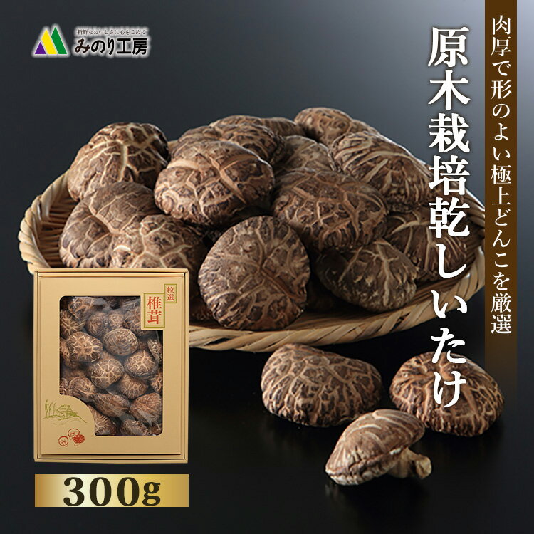 ギフト 国産 原木 しいたけ どんこ 300g 乾し 乾椎茸 椎茸 2023 贈り物 送料無料 乾燥 野菜 栽培 干し 和食 自然 食品 無農薬 包装 引き出物 御祝い 内祝い 快気 祝い 贈答用 お祝い 肉厚 お寿司 すき焼き 煮物 食べ物 お返し お礼 ビタミン ミネラル 即日発送 敬老の日 敬老