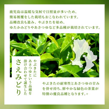 【SALE20%OFF 送料無料】 上級煎茶 さえみどり 鹿児島産 80g×1袋 新茶 2021 緑茶 上級茶 旨味 甘味 日本茶 茶葉 季節 水出し 高機能品種 急須 抽出 水色 湯冷まし 効能 成分 ビタミンC ダイエット ギフト 贈答用 テアニン リラックス メール便 年中無休 即日発送