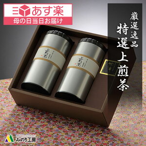 母の日 ギフト 新茶 2024 上級 煎茶 さえみどり 鹿児島 茶 200g 2本 セット 緑茶 日本茶 茶葉 国産 深蒸し茶 お茶 10000円 一番茶 贈り物 高級 1万円 鹿児島産 初摘み 一番摘み お返し 引き出物 お祝い 内祝い 快気祝い 出産祝い 結婚祝い 贈答 ははの日 父の日 送料無料