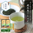 新茶 2025 お茶 ギフト お中元 内祝い 緑茶 煎茶 日本茶 さえみどり 鹿児島茶 100g 2袋 セット プレゼント 茶葉 知覧茶 お礼 高級 200g 初摘み 一番摘み 送料無料 快気祝い 出産祝い 結婚祝い お返し 引き出物 贈り物 御中元 お祝い 一番茶 贈答 返礼品 記念品 粗品 新築祝い