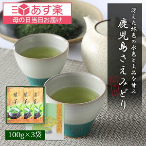 母の日 ギフト 新茶 2024 内祝い 上級 煎茶 さえみどり 鹿児島 100g 3袋 セット 一番茶 贈り物 日本茶 深蒸し茶 お祝い 引き出物 初摘み 一番摘み 高級 お礼 ははの日 父の日 プレゼント 快気 祝い 出産祝い 結婚祝い お茶 緑茶 茶葉 深蒸し 銘茶 送料無料 御礼 粗品 景品