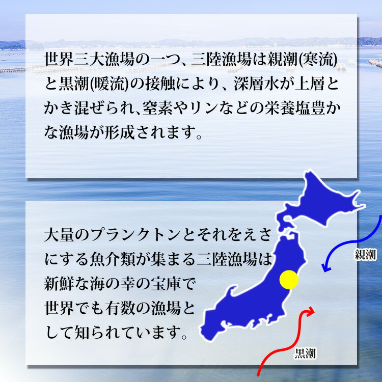 海苔 焼き海苔 宮城県産 8切 32枚 3袋 セット 焼海苔 焼きのり 食品 ご飯のお供 手巻き 寿司 無添加 料理 和食 焼のり 海苔巻き お弁当 おかず おつまみ おやつ ごはん おにぎり 送料無料 高級 グルメ 小分け 常温 保存 乾物 子供 海鮮 乾海苔 食べ物 食料 日持ち ラーメン