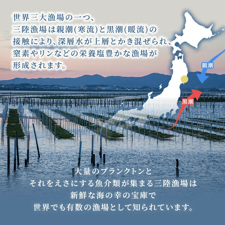 【送料無料】 寿司はね 焼き海苔 宮城県産 板のり 10枚 10袋 セット 訳あり 100枚 寿司のり 寿司海苔 寿司用 はねのり はねだし お得 まとめ買い 大容量 ご飯 食事 栄養 産地 うま味 味わい おつまみ 家庭用 パリパリ ビタミン ミネラル アミノ酸 香り 早摘み